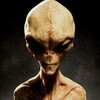 Logo of telegram channel the_xf — The X-Files