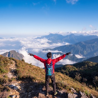 Логотип телеграм канала @theamazingplanet — Удивительная Планета