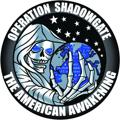 Logo saluran telegram theamericanawakening — The American Awakening