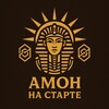 Логотип телеграм канала @theamoncrypto — Амон На Старте