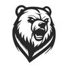 Logo of telegram channel thebeardrop — The BearDrop