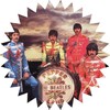 Логотип телеграм канала @thebeatles_confession — the beatles confession 🪲