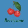 Логотип телеграм канала @theberryzone — Berryzone | Топовые товары на WB и Ozone