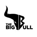 Logo saluran telegram thebigbull1234 — TheBigBull (SEBI REGISTERED)