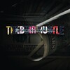 Logo saluran telegram thebirrhustle — TheBIRRHUSTLE