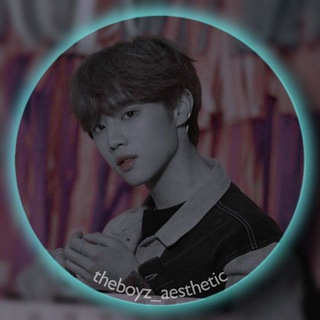 Логотип телеграм канала @theboyz_aesthetic — ✨ the boyz aesthetic ✨