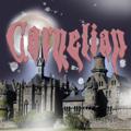 Logo of telegram channel thecarnelian — The Carnelian paguy 0456