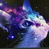 Logo of telegram channel thecatslife — The cat's life