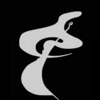 Logo of telegram channel thecellocorner — The Cello Corner (Don't miss APOCALYPTICA!) 😉