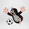 Логотип телеграм канала @theczechfootball — Чешский футбол от A до Ž