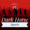 Logo saluran telegram thedarkhorsesports96 — The Dark Horse Sports - Cricket, Football, Tennis, ⚽🎾🏏