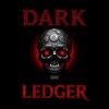 Telegram channel DARK LEDGER logo