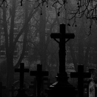 Логотип телеграм канала @thedeadcity — the dead city 🕷🕸