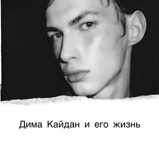 Логотип телеграм канала @thedimakaidan — Кайдан и его жизнь