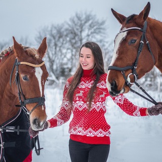 Логотип телеграм канала @theequestrianstyle — The Equestrian Style