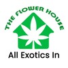 Logo of telegram channel theflowerhouseca — The Flower House ☘️