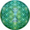 Логотип телеграм канала @thefloweroflife_ru — Цветок Жизни | Мандалы Света