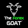 Logo saluran telegram theforexgoattrader — THE FOREX GOAT 🚀