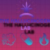 Logo of telegram channel thehallucinogen_lab — The Hallucinogen Lab ™️