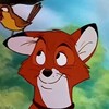 Logo of telegram channel thekiba — The Fox’s Den