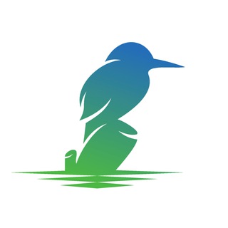 Logo of telegram channel thekingfisher_btc — The Kingfisher - Bitcoin & Crypto liquidations signals and analytics