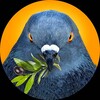 Логотип телеграм канала @thelogicofwar — Логика войны