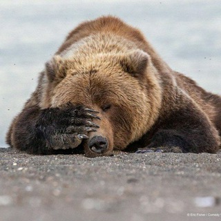 Логотип телеграм канала @themarketdna — The РЫНОК. MOEX