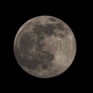 Логотип телеграм канала @themoonle — Moon🌑