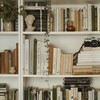 Логотип телеграм канала @themysteryofbooks — Книжный лес📚🌲