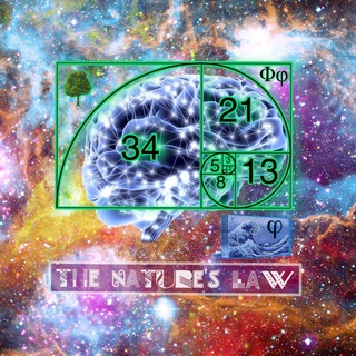 电报频道的标志 thenaturelaw — 🌀The Nature law🌻🌊Elliott waves analytics🌊