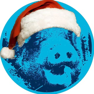 Логотип телеграм канала @thenearmemetimes — Swine Guild Ru