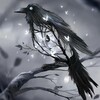 Логотип телеграм канала @thenightcrows780 — 𓄿Ночные вороны𓄿