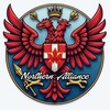 Logo of telegram channel thenorthernalliance — Northern Alliance