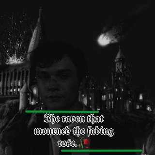 Логотип телеграм канала @theodorknott — 𝐷𝑖𝑎𝑟𝑦 𝑜𝑓 𝑇ℎ𝑒𝑜𝑑𝑜𝑟𝑒 𝑁𝑜𝑡𝑡'𝑠
