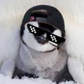 Logo saluran telegram theonlypenguin — THE #ONLY PENGUIN