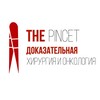 Логотип телеграм канала @thepincet — THE PINCET