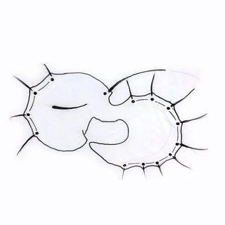 Логотип телеграм канала @theplatypussays — утконос говорит