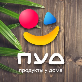 Логотип телеграм канала @thepudteam — команда "ПУД"