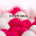 Logo del canale telegramma thepuremanhaj - The Pure Manhaj