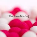 Logo of telegram channel thepuremanhaj — The Pure Manhaj