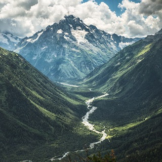 Логотип телеграм канала @therealcaucas — Кавказский пленник ™