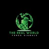 Логотип телеграм канала @therealworldforexsignals — The Real World Forex Signals