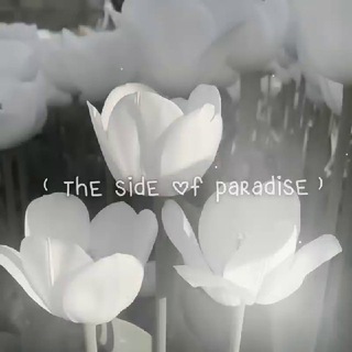 Логотип телеграм канала @thesideofparadise — 𝙋𝘼𝙍♡𝘿𝙄𝙎𝙀 𝙁𝙈 (закрыто)