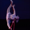 Логотип телеграм канала @thesoulinthecircus — Йоу Circus 🎪