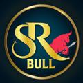 Logo saluran telegram thesrbull — SR Bull