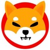 Logo of telegram channel thesupercrypto — CRYPTO ROBINHOOD 💰
