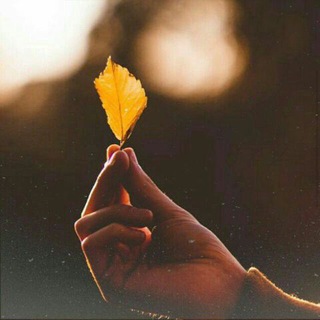 لوگوی کانال تلگرام thetheq — مواعظ وقصص وعبر 🍁