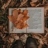 Logo of telegram channel theuglidurkling — Autumn in my heart