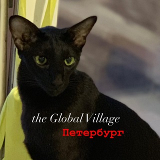 Telegram channel The Village Петербург logo