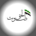 Logo saluran telegram thevoiceofthetrue1 — صوت الحق نيوز